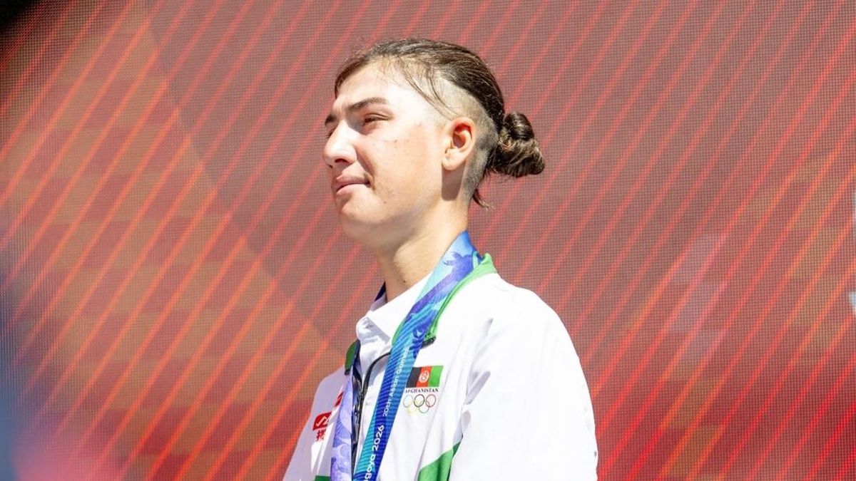Dokumentasi laporan insiden fariba hashimi - Redaksi